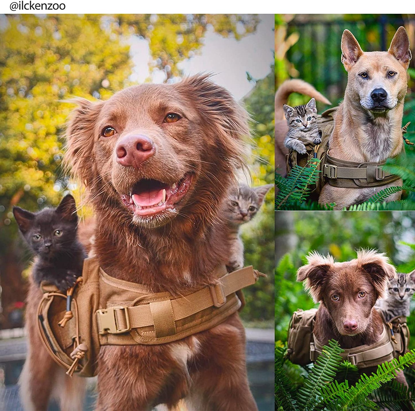 Dog Backpack for Medium & Large Dogs, Nylon Backpack for Dogs Tactical Pet Backpack with Side Pockets for Hiking Walking Training Running (Brown, Large)
