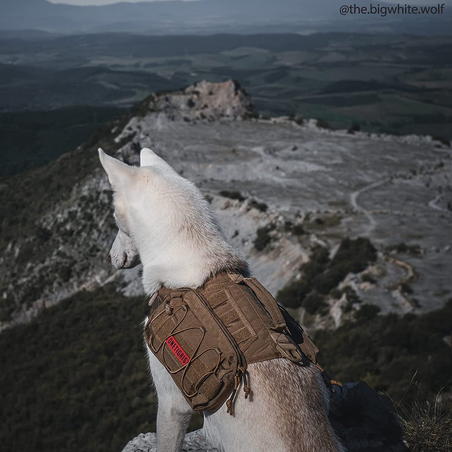 Dog Backpack for Medium & Large Dogs, Nylon Backpack for Dogs Tactical Pet Backpack with Side Pockets for Hiking Walking Training Running (Brown, Large)