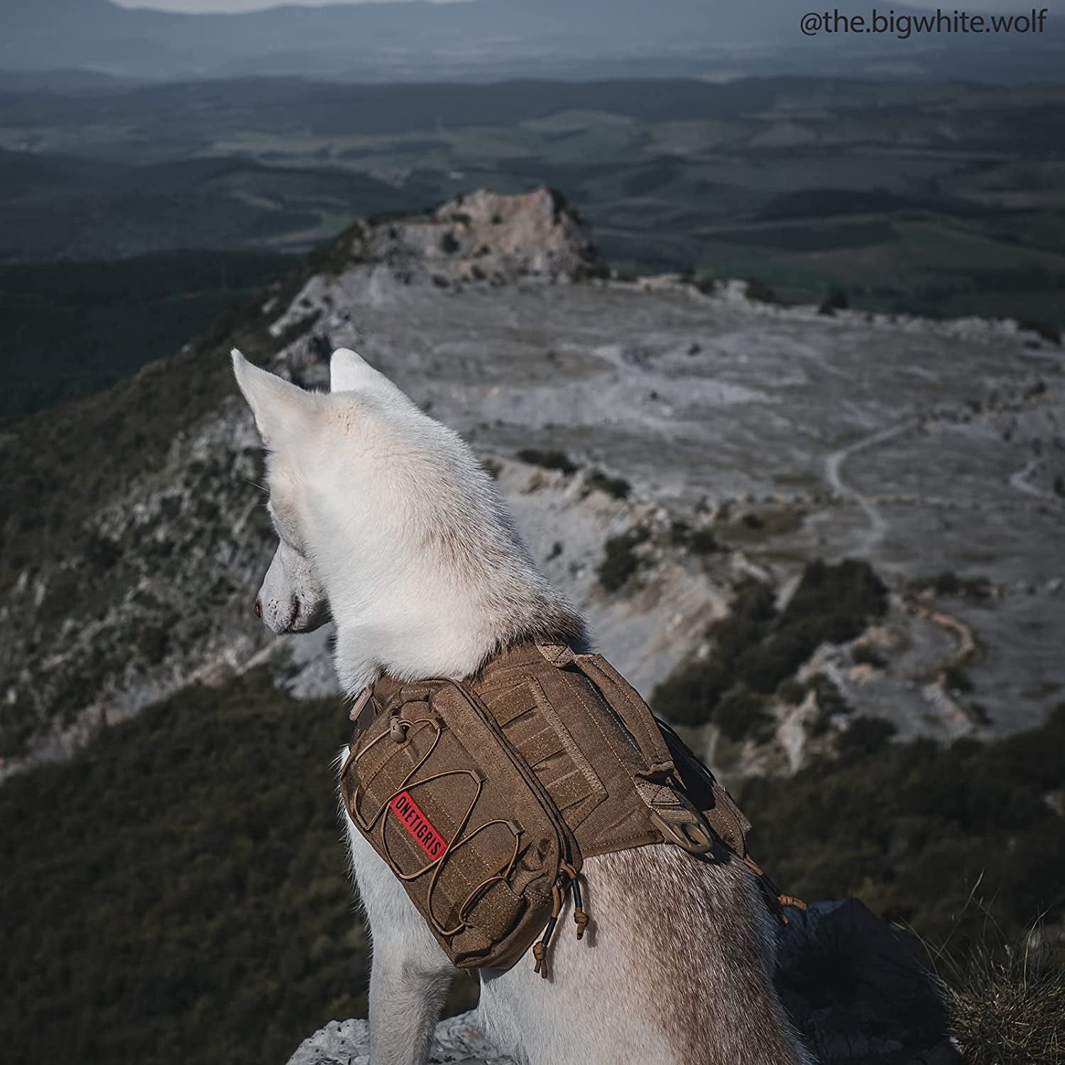 Dog Backpack for Medium & Large Dogs, Nylon Backpack for Dogs Tactical Pet Backpack with Side Pockets for Hiking Walking Training Running (Brown, Large)